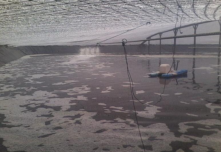 魚塘修建土工膜和混凝土哪種方法更可靠？